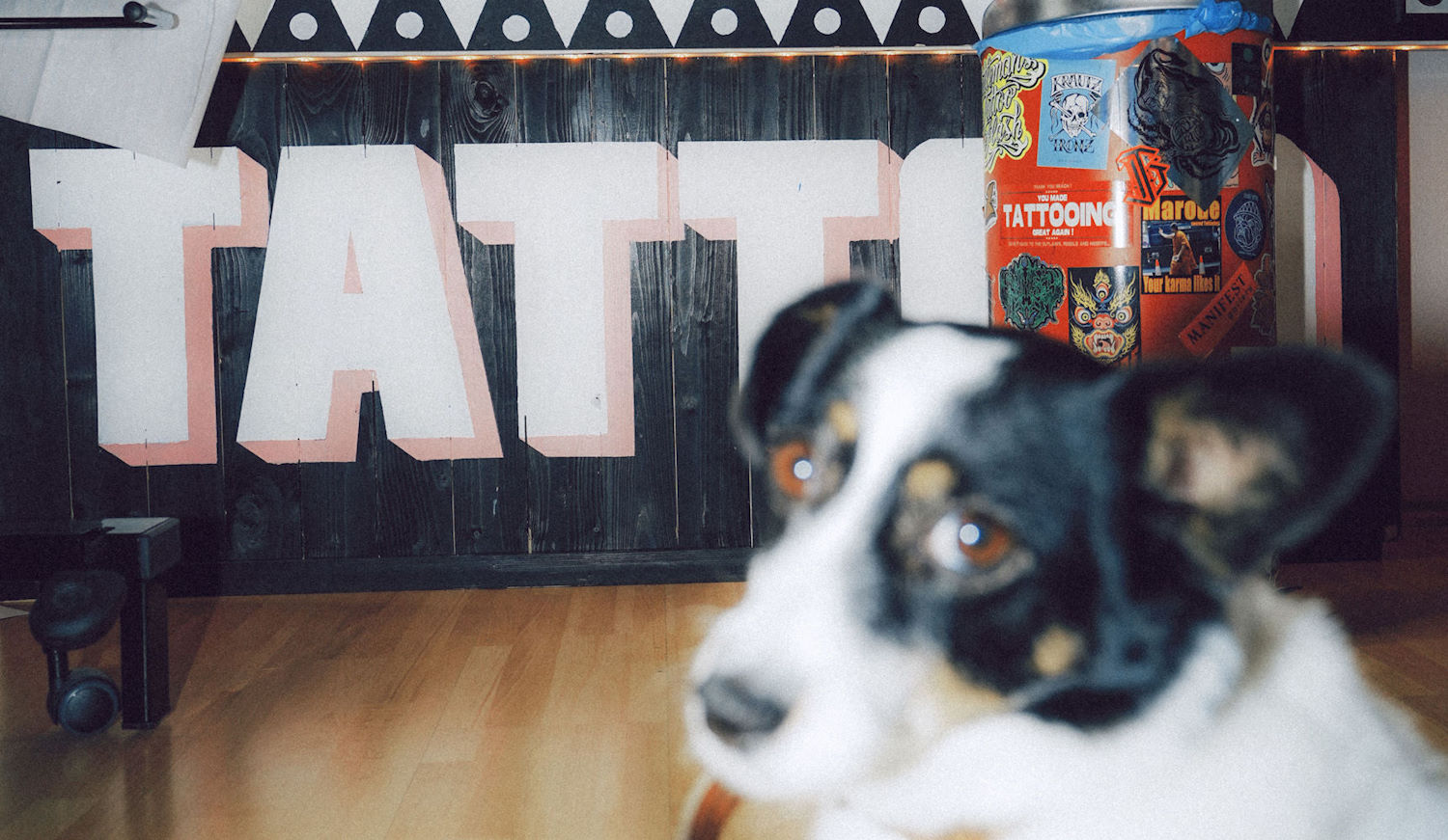 EASYTATTOO Vienna Tattoo Studio Wien Interior Dog
